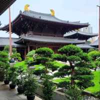 Tranquil Escape at Nan Lian Garden