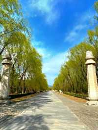 The Journey via the Sacred Way in Ming Tombs