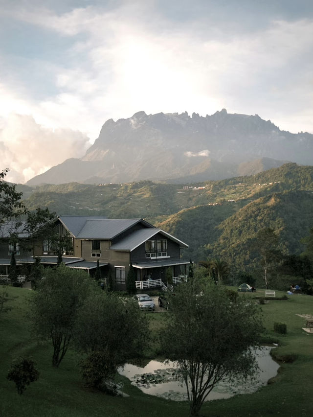 ⛰️ Chillin’ in Kundasang – Views, Cows & Cool Vibes! 🐮🌤️ ⛰️ Chillin’ in Kundasang – Views, Cows & Cool Vibes! 🐮🌤️