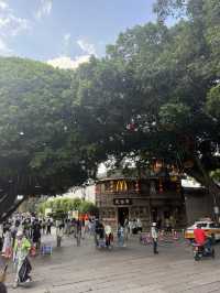 Love in the Air at Fuzhou’s Sanfang Qixiang – The Heart-Shaped Tree You Must See