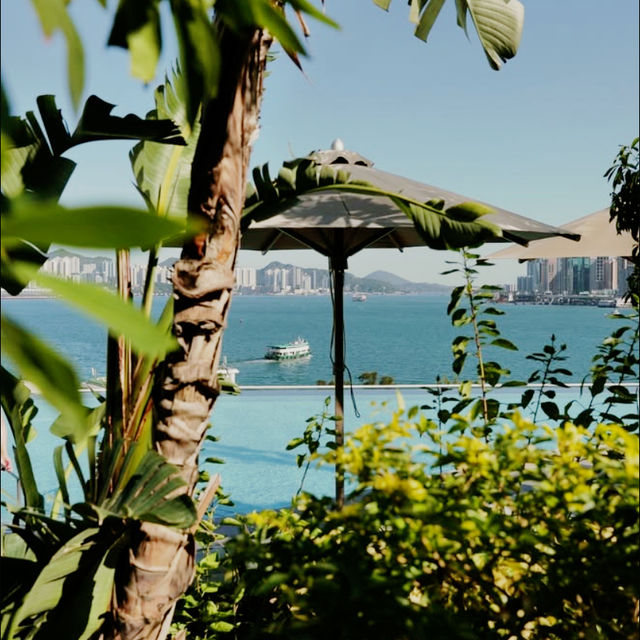 Harbor Harmony, Contemporary Ease