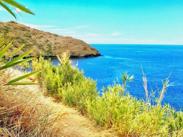 Anawangin Hilltop: Scenic Views of Zambales Anawangin Hilltop: Scenic Views of Zambales