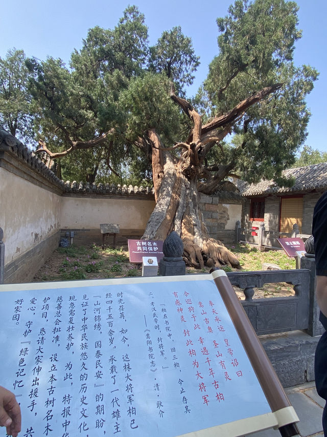 🌍 Exploring the Birthplace of Chinese Martial Arts 🌷🌷