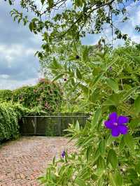 🎹 Music, Architecture & Nature – Tamarind Square Vibes 🎶