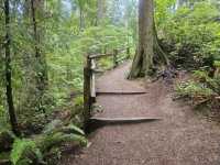 Olympic National Park (WA)