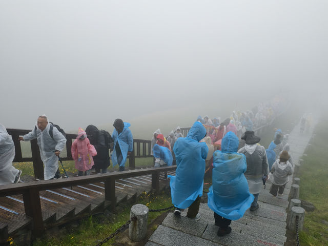 就算是下雨也是要衝上山一睹紅顏