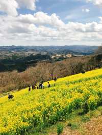 四季折々の花や動物と触れ合える！大人から子供まで楽しめるマザー牧場😍🫶