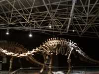 The Great Wall of Dragon Bones