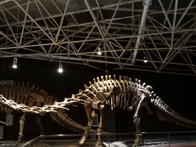 The Great Wall of Dragon Bones