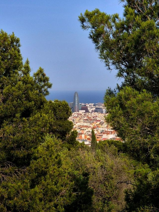 바르셀로나 시내를 구경할 수 있는 곳 : Casa Trias🇪🇸