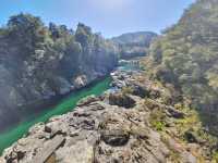 Pelorus Bridge NZ