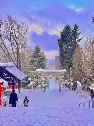 ❄️눈 내리는 오타루, 겨울 감성 여행✨