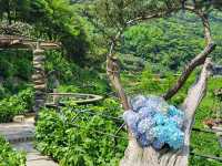 名陽匍休閒農莊：陽明山花季中的秘境天地
