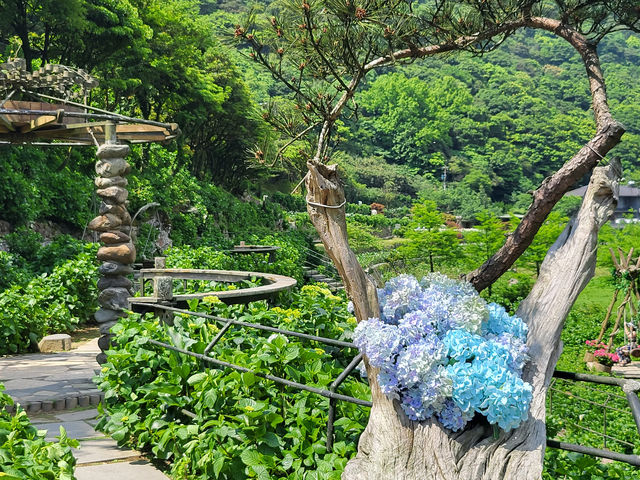 名陽匍休閒農莊：陽明山花季中的秘境天地