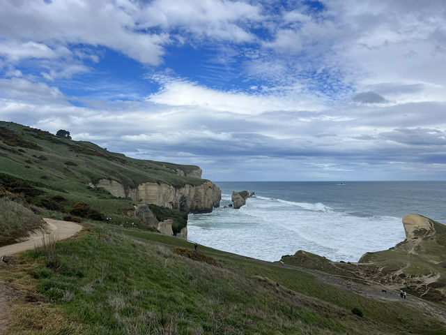 紐西蘭南島景點—隧道海灘步道 Tunnel Beach Walk 🌊🪨