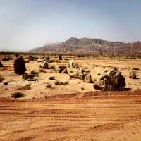 Red Majesty: Wensu’s Wild Wonder