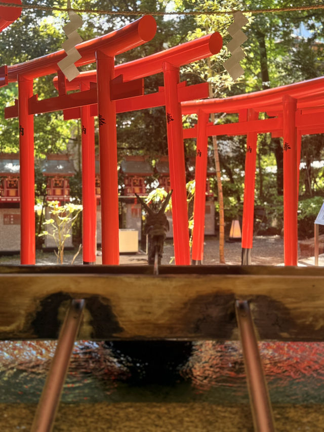 熱海｜隱身在樹林中來宮神社 繞神木一圈能延命一年傳說