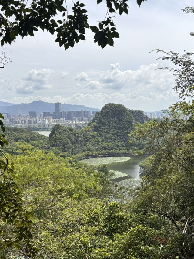 Seven Star Crags: Zhaoqing’s Jaw-Dropping Views 🌟