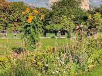 The Tuileries Garden: An Oasis in Central Paris