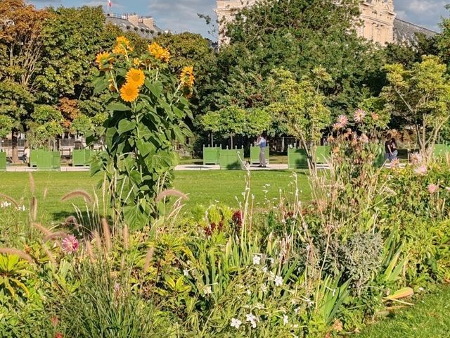 The Tuileries Garden: An Oasis in Central Paris