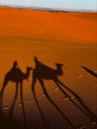 Immersed in the Heart of the Sahara