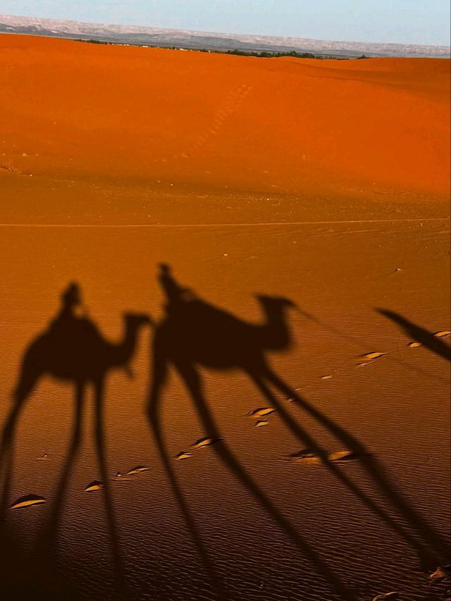 Immersed in the Heart of the Sahara