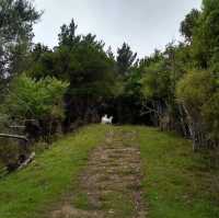 Eatwell Lookout – Panorama Point over Kenepuru & Queen Charlotte Sounds