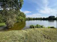 Paya Indah Wetlands