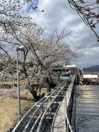 🇯🇵 Kyoto By The Sea - Ine & Amanohashidate