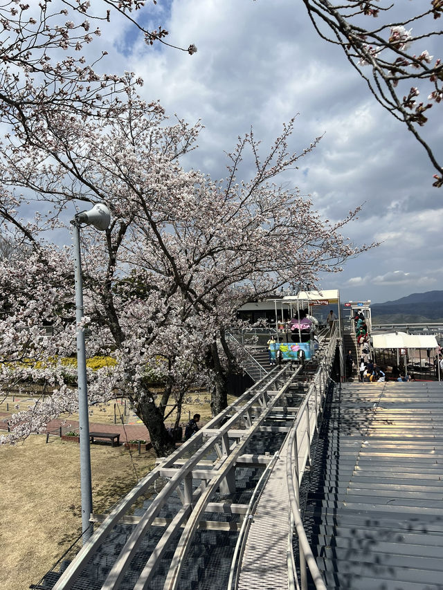 🇯🇵 Kyoto By The Sea - Ine & Amanohashidate
