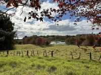 Ayrlies Garden and Wetlands