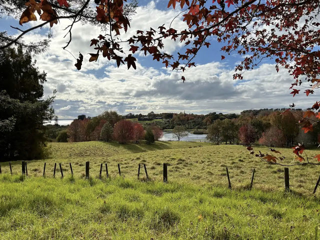 Ayrlies Garden and Wetlands