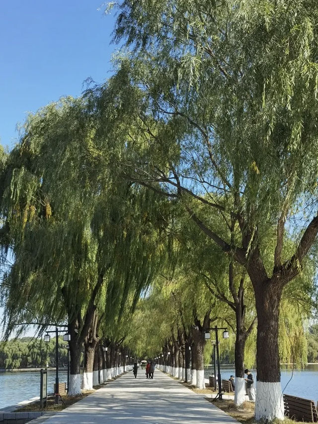 瀋陽北陵公園🇨🇳