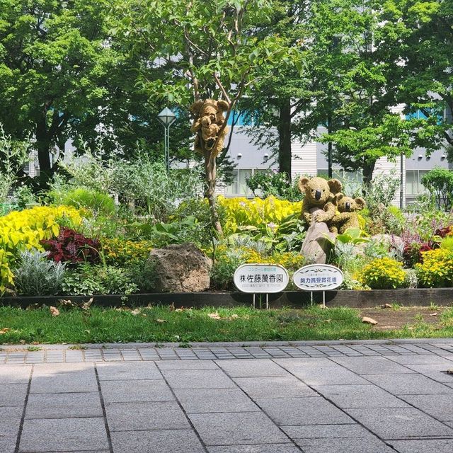 Sapporo’s Summer Glow: Odori Park & Chill Spots 🌞🍻