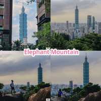 Elephant Mountain