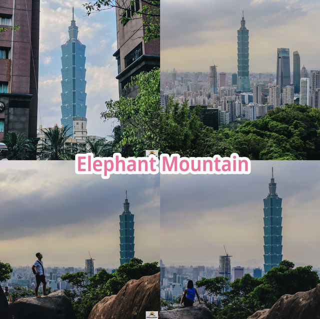 Elephant Mountain Elephant Mountain