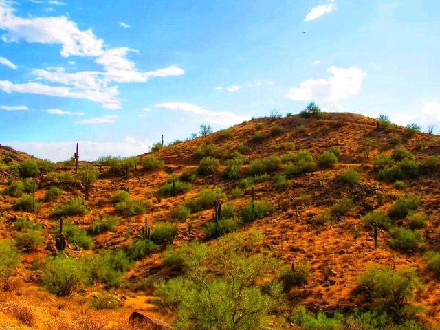🌅 “South Mountain Park & Preserve – Where the Desert Meets the Sky!” 🌅 “South Mountain Park & Preserve – Where the Desert Meets the Sky!”