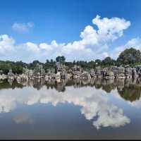 Nature’s Masterpiece at Stone Forest