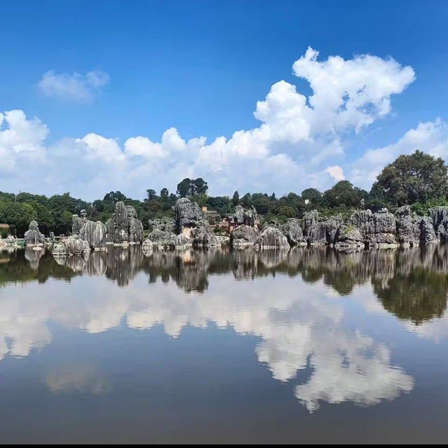Nature’s Masterpiece at Stone Forest