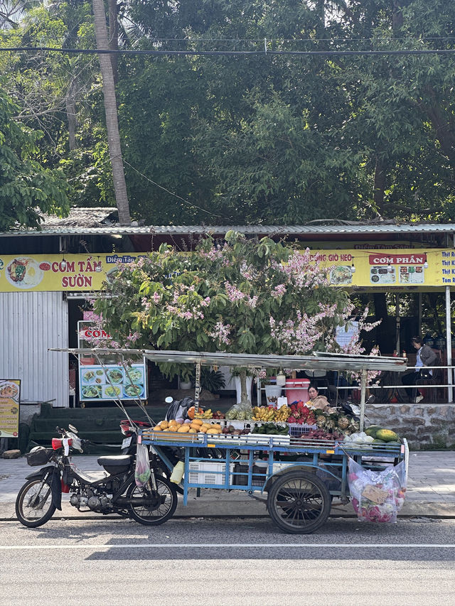 🌴 푸꾸옥, 바다와 힐링의 섬 여행 추천 🌴 🌴 푸꾸옥, 바다와 힐링의 섬 여행 추천 🌴