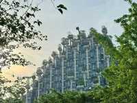 Tian An 1,000 Trees 🌳🌿