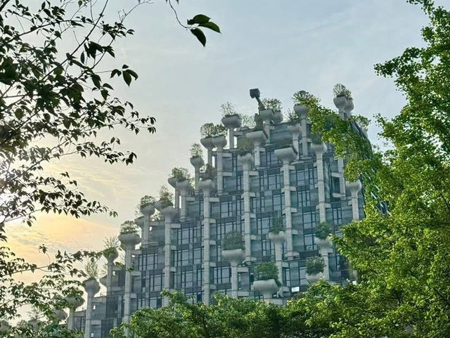 Tian An 1,000 Trees 🌳🌿