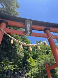 【秋日限定】淺間公園的夢幻畫面