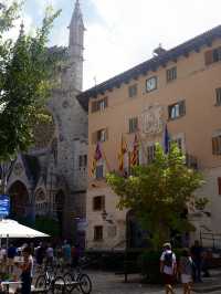 (続編) Spain Mallorca in Sóller🚋