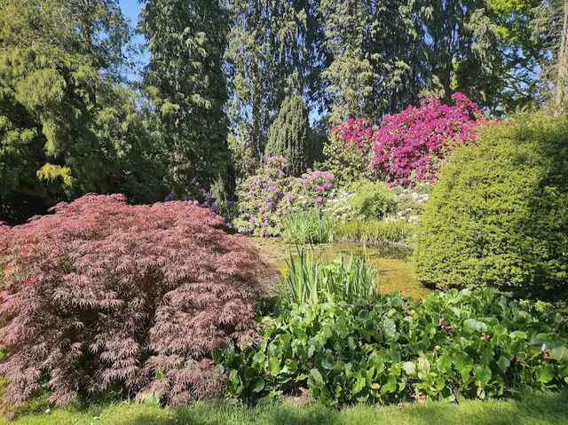 Arboretum Kalmthout
