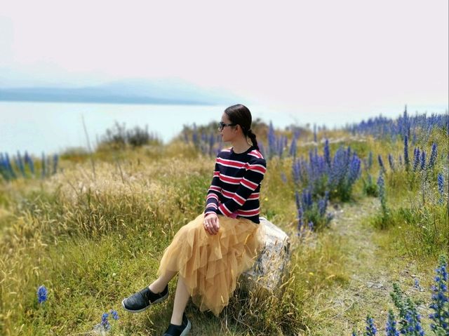 🇳🇿 New Zealand Road Trip - เล่าเรื่องด้วยภาพ#13