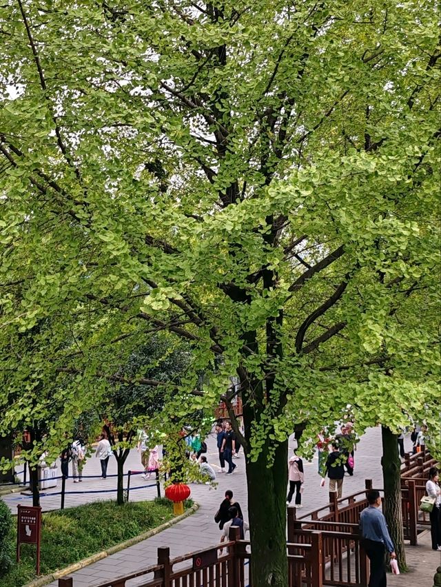 Dujiangyan: A Verdant Masterpiece