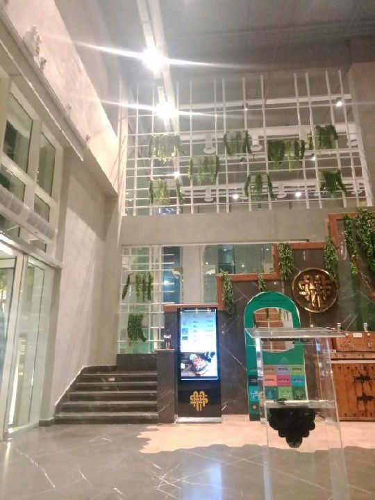 Green Dream Indoors🌱