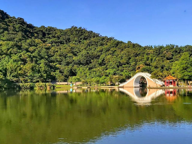 🌸🦆 Tranquil Reflections at Dahu Park 🌿🌊