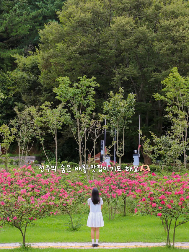  전주의 숨겨진 피크닉 스팟, 이런 순교성지는 어때요? 